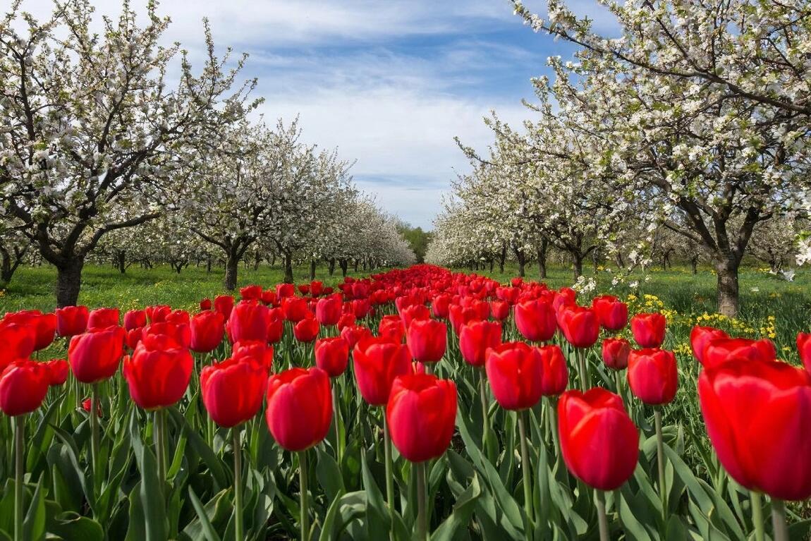 График работы на майские праздники 2026