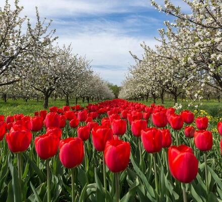 График работы на майские праздники 2026